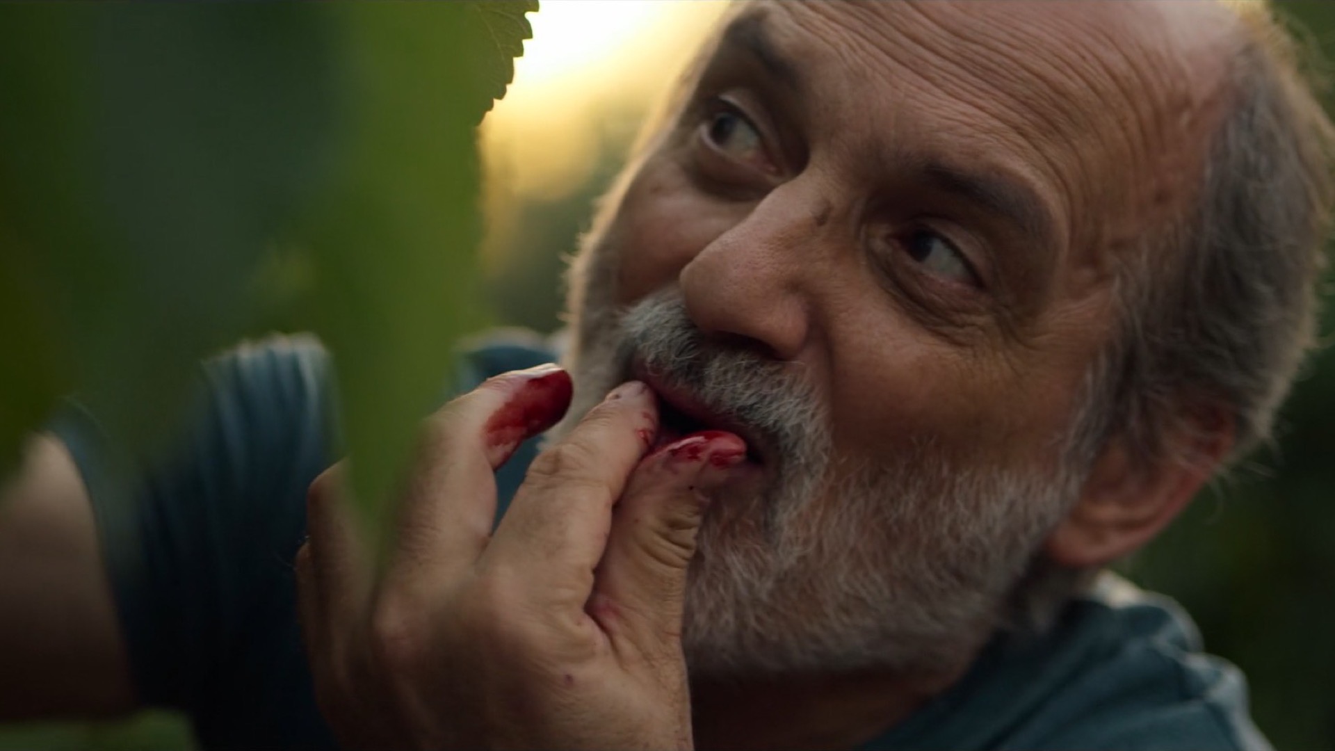 Still 7
