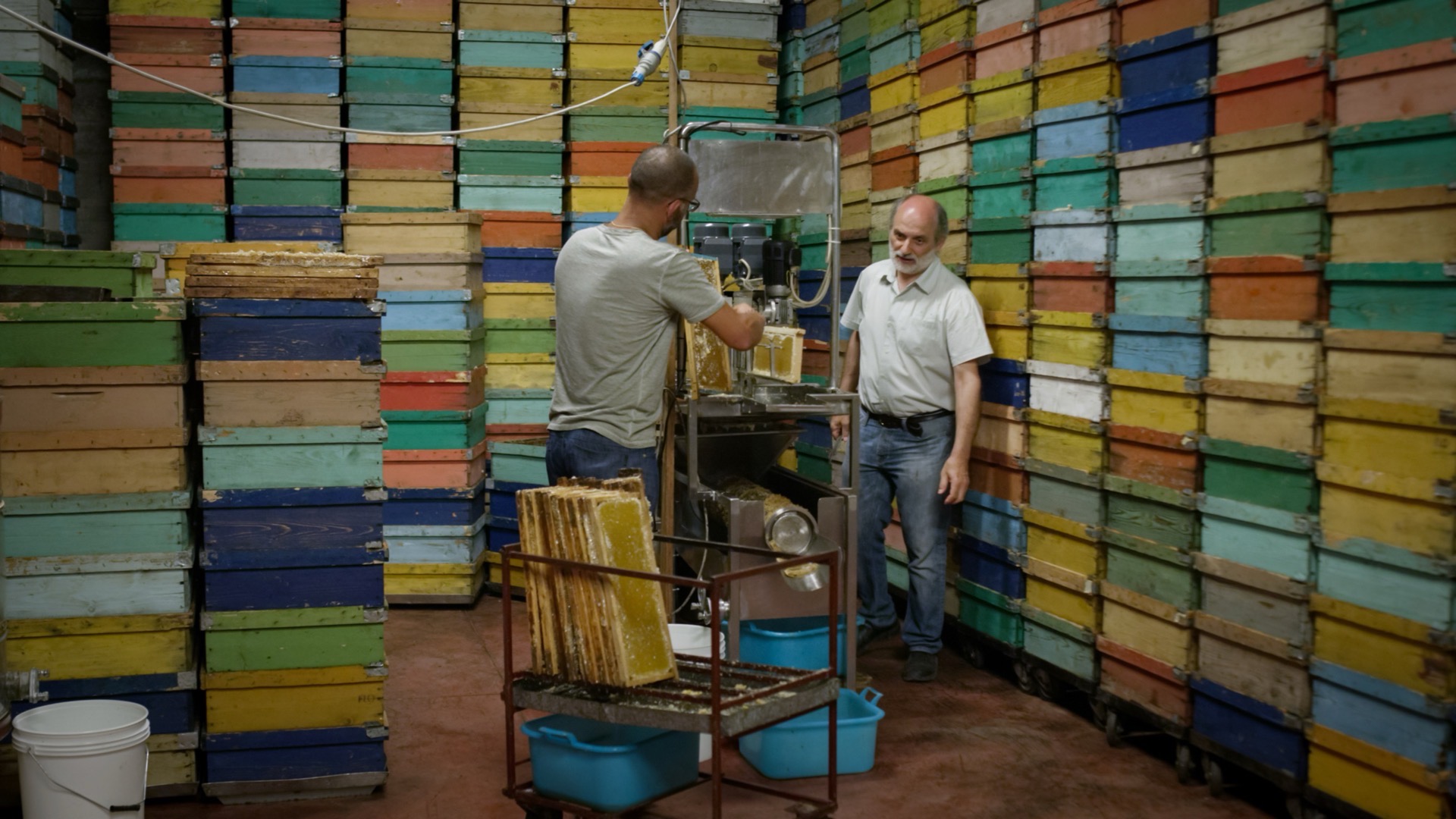 Still 4