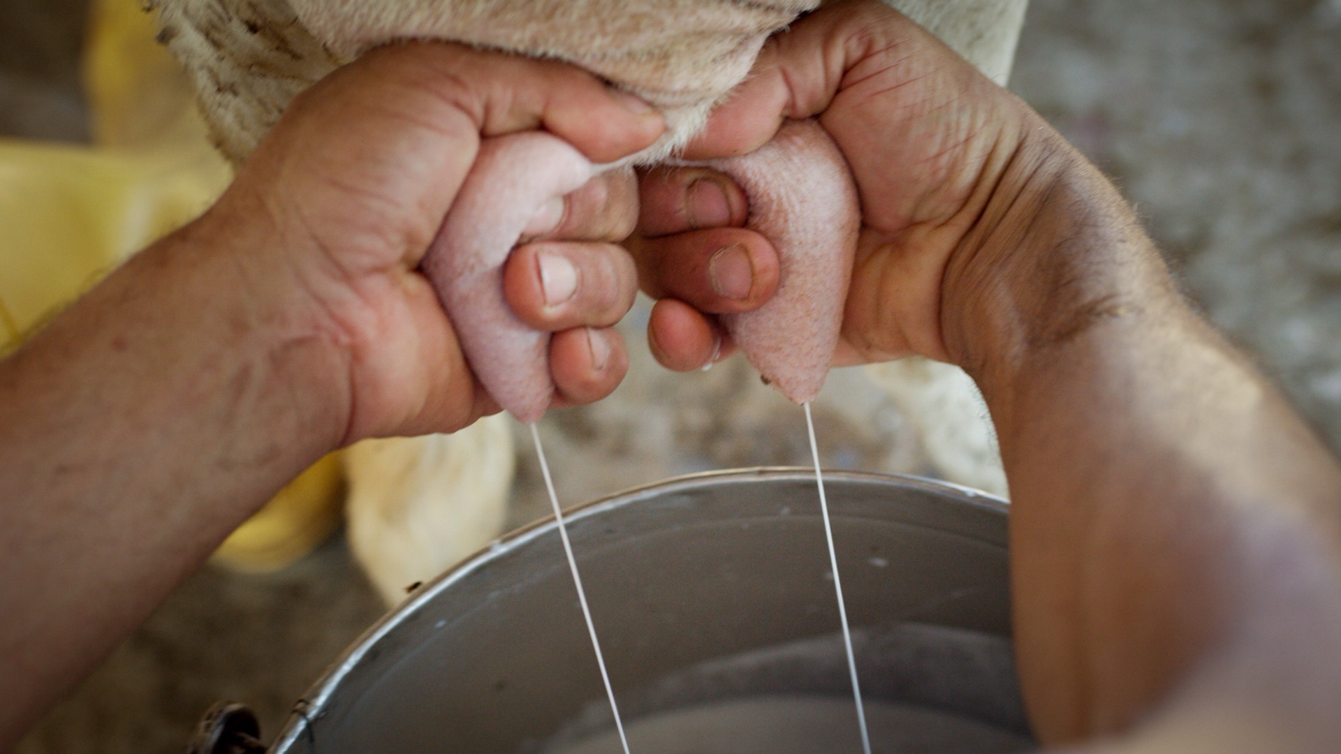 Still 5
